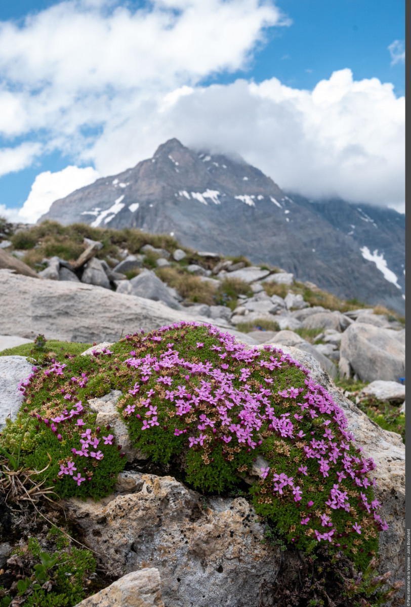 3pnv030008_pn_vanoise_joris_bouchard_2000px.jpg