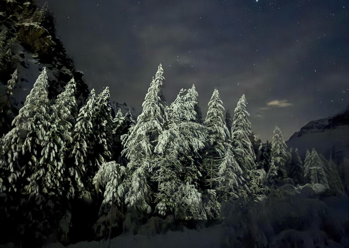 Sortie en traîneau avec les rennes & fondue savoyarde en chalet d'alpage.