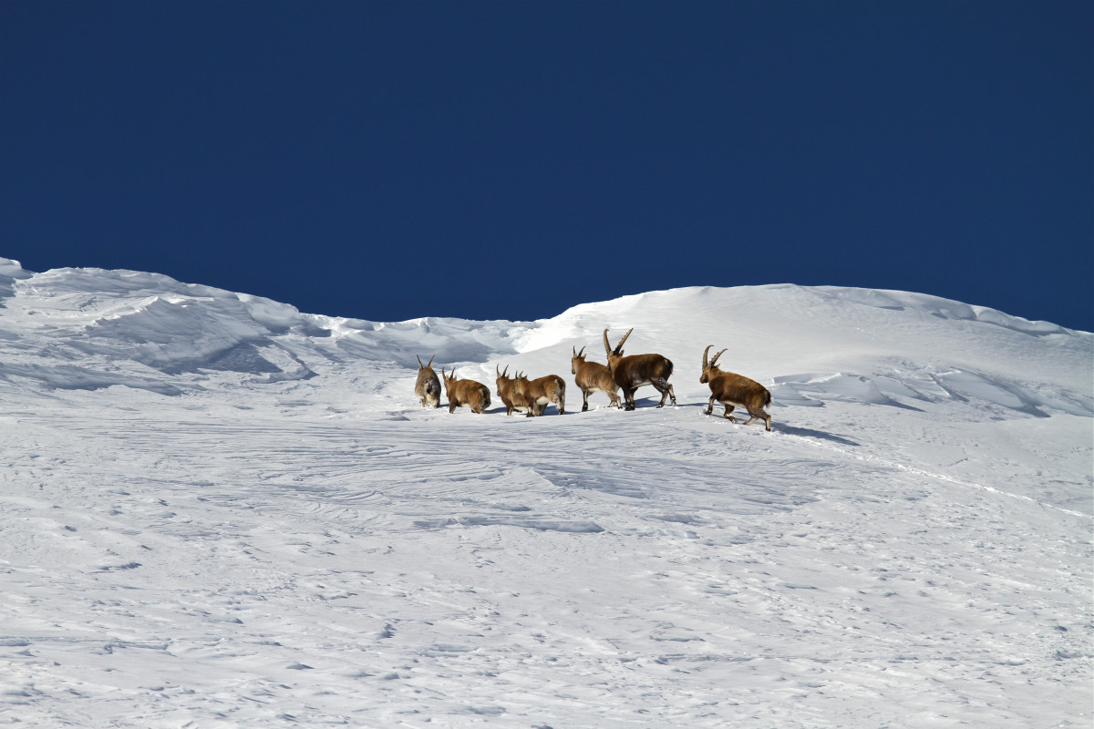 bureau des guides - © bureau des guides bureau des guides