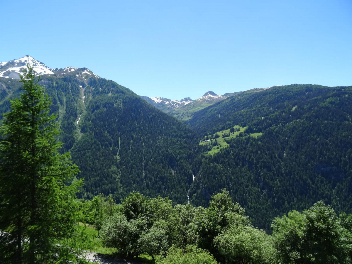 Vue été