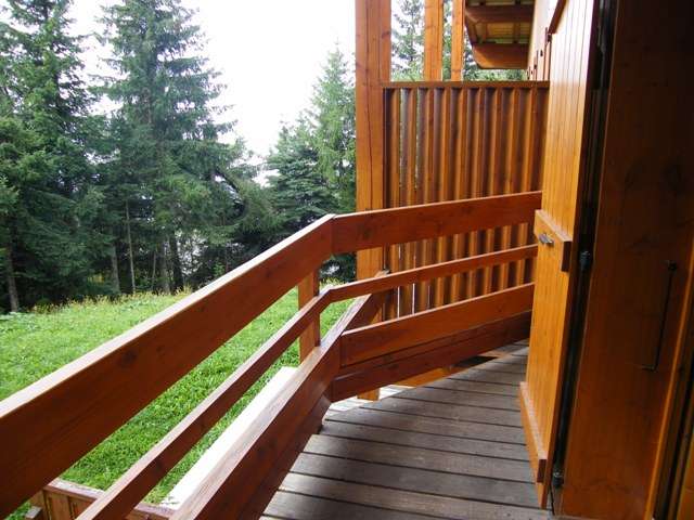 chalet-le-datcha-les-mievres-plan-peisey-vue été