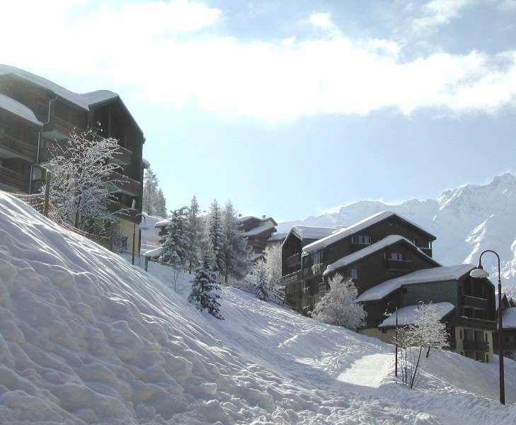 michailles-hiver-2010-3-8463 michailles-hiver-2010-3-8463