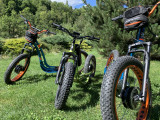 E-scoot
