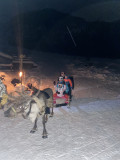 Sortie nocturne