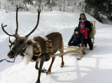 Reindeer sleigh ride_Peisey-Vallandry