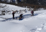 Snowshoeing excursion with reindeer and guide – On the trail of wolves_Peisey-Vallandry