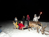 Sortie raquette nocturne avec les rennes & accompagnateur en moyenne-montagne