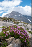 3pnv030008_pn_vanoise_joris_bouchard_2000px.jpg