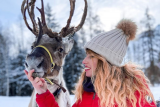 Reindeer sleigh ride