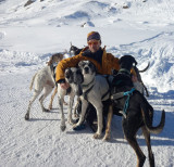 Bain de Chiens