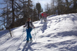 balade en forêt