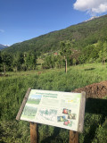 Verger de la Ballastière