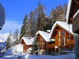 chalet-l-ours-et-l-ange-bellecote-n-3-vallandry-1-gf-2-39179