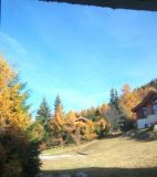 darbella-11-nov-2010-7-5883