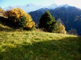 dscf1273-27939