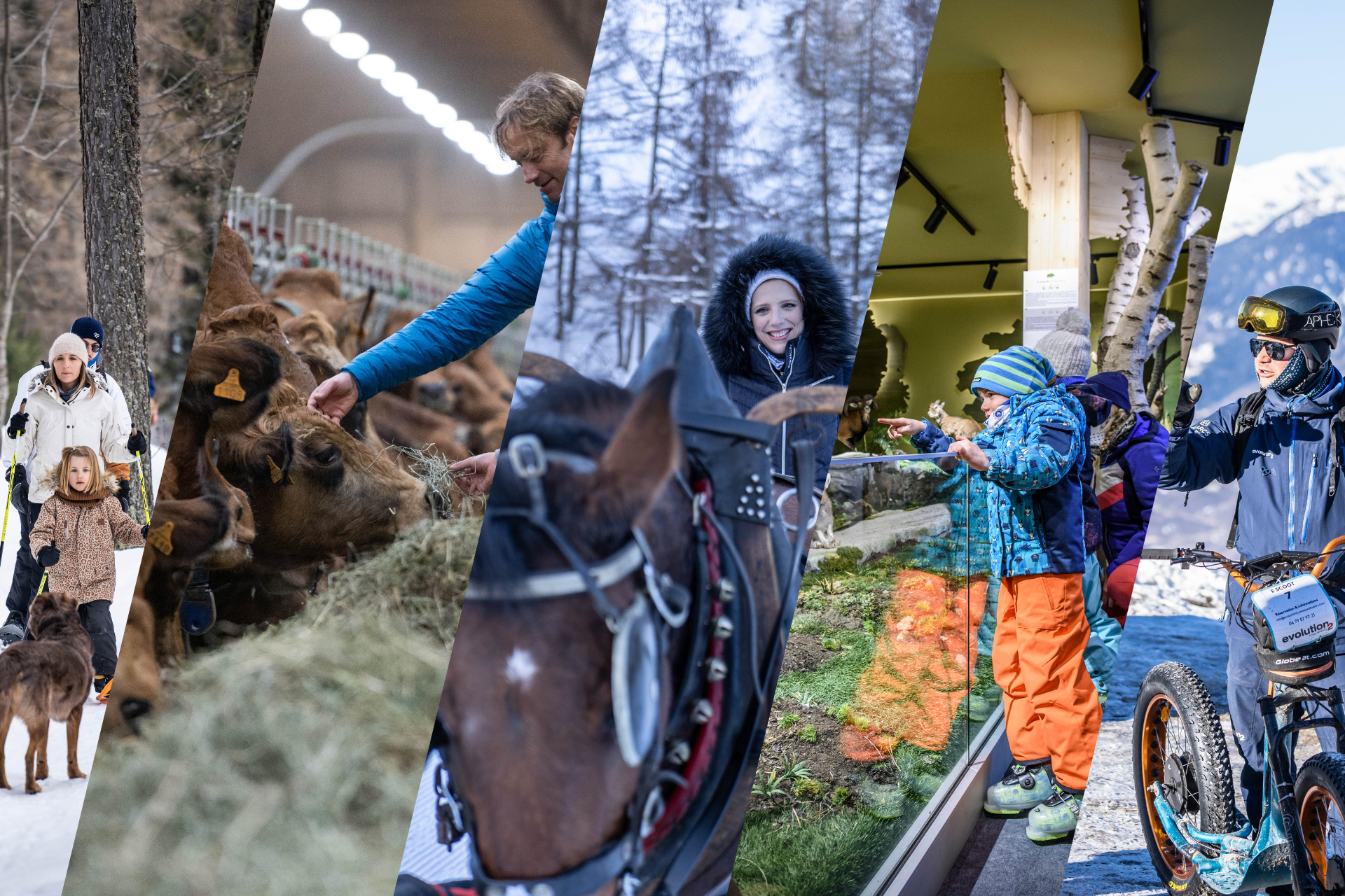 Aktivitäten außerhalb des Skifahrens in Peisey-Vallandry