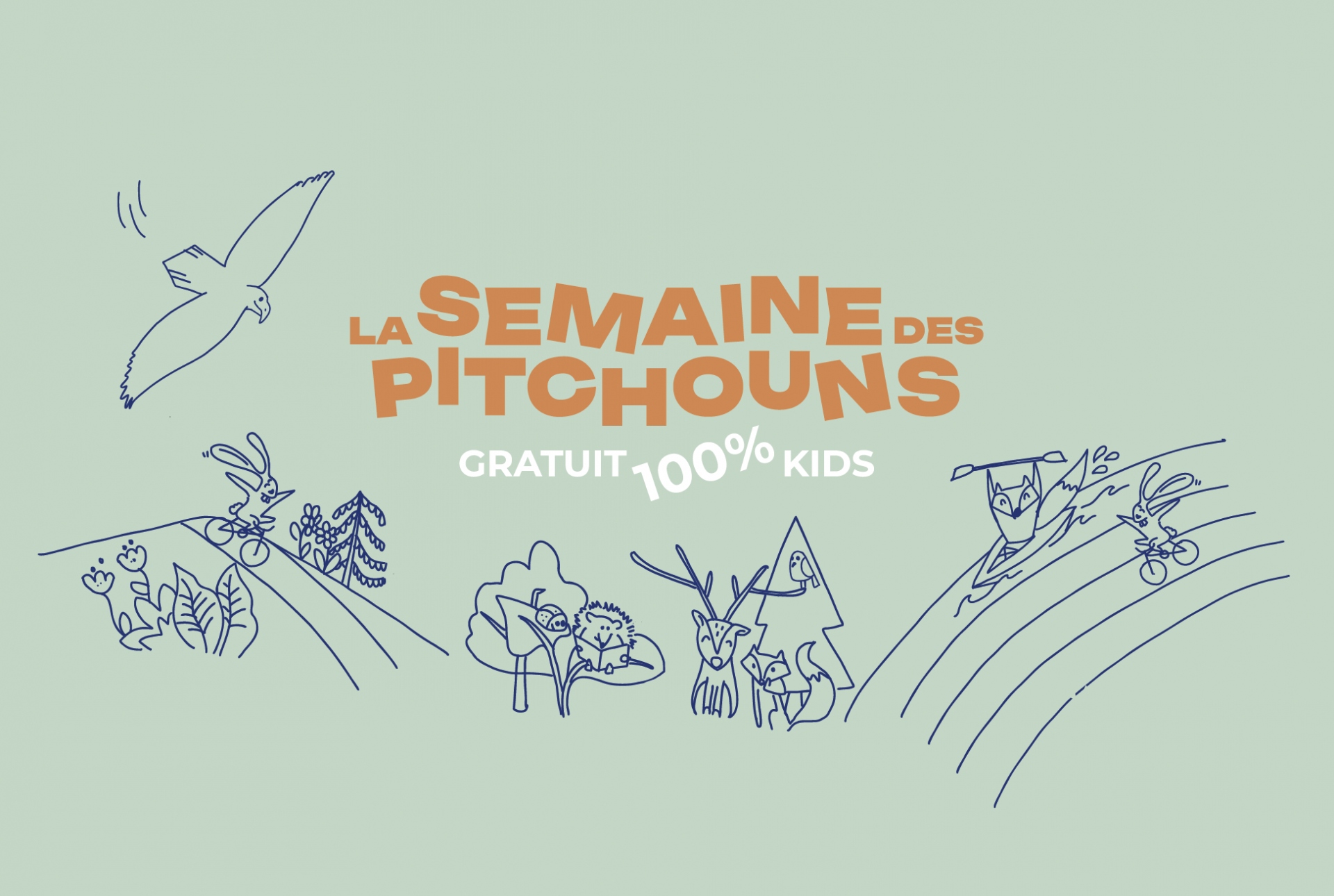 web-pitchoun-1134362