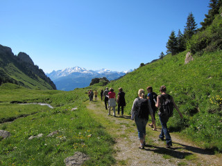 Randonnée en alpage
