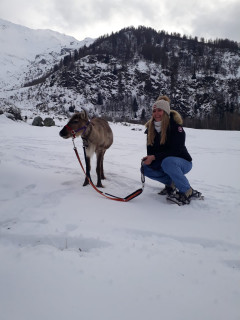 Tageswanderung mit den Rentieren des Großen Plans_Peisey-Vallandry