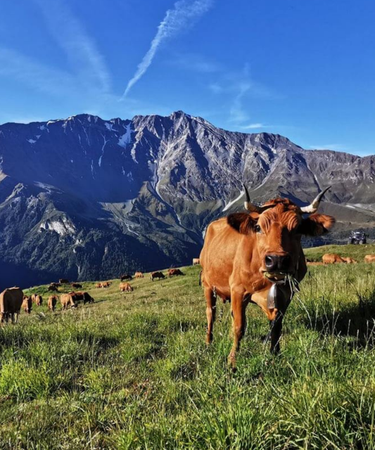 Concert à la ferme : Du Classique au Jazz_Peisey-Nancroix