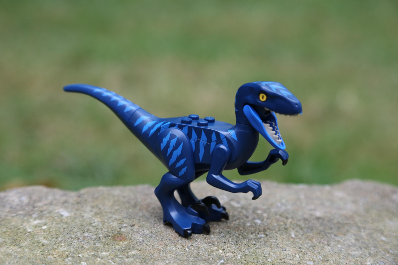 Around the dinosaurs_Peisey-Nancroix