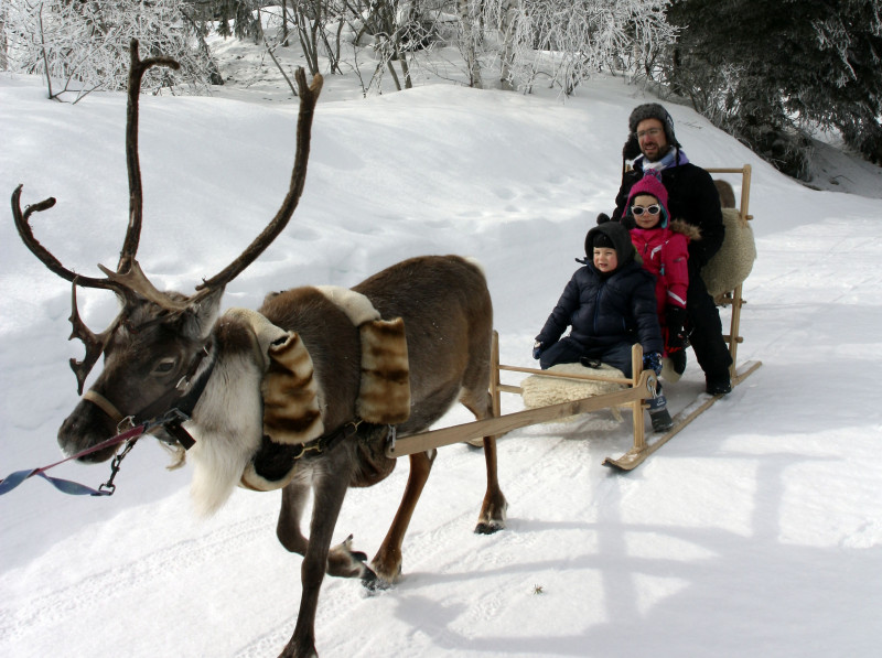 Reindeer sleigh ride_Peisey-Vallandry - © Au Baudet Malin Reindeer sleigh ride_Peisey-Vallandry