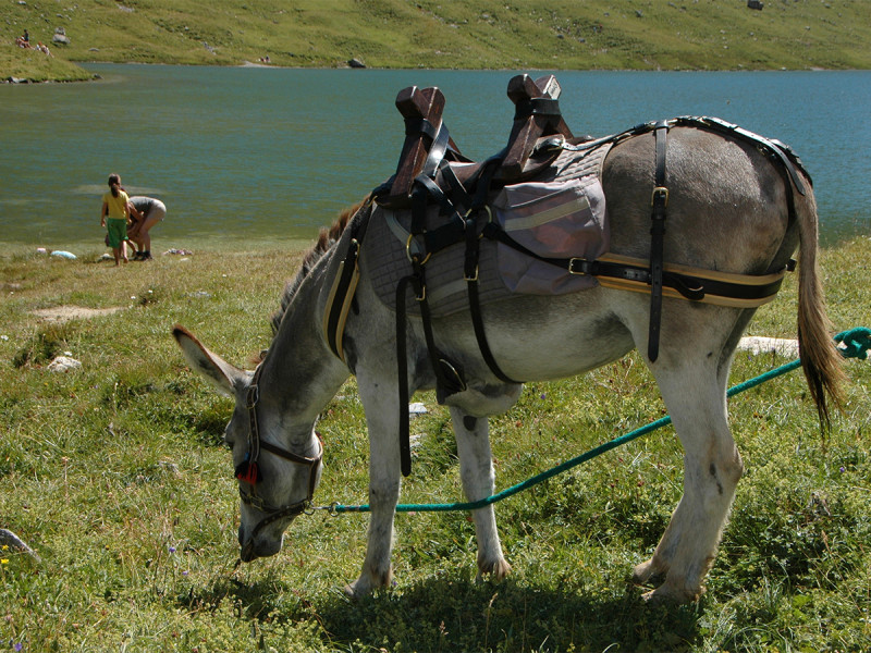 Tour de la Vallaisonnay