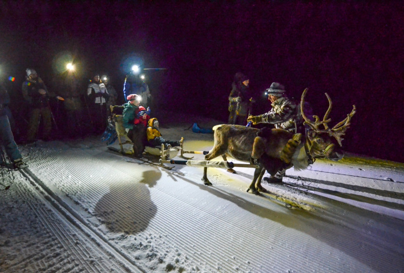 Ein nächtlicher Fackelspaziergang mit einem Rentier..._Peisey-Vallandry