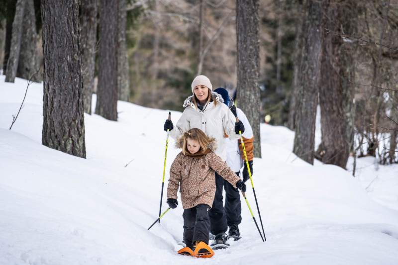 Sortie raquettes nocturne : marche d'approche étoilée vers un restaurant d'altitude_Peisey-Vallandry Sortie raquettes nocturne : marche d'approche étoilée vers un restaurant d'altitude_Peisey-Vallandry