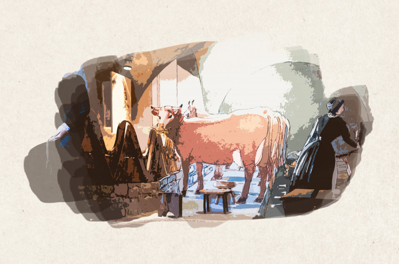 Visite guidée : Contes et goûter à l'étable_Les Belleville