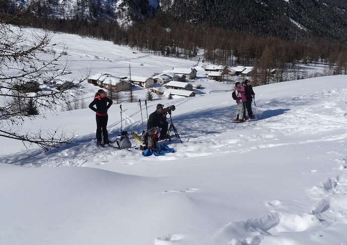 Snowshoeing excursion with reindeer and guide – On the trail of wolves_Peisey-Vallandry - © Au Baudet Malin Snowshoeing excursion with reindeer and guide – On the trail of wolves_Peisey-Vallandry
