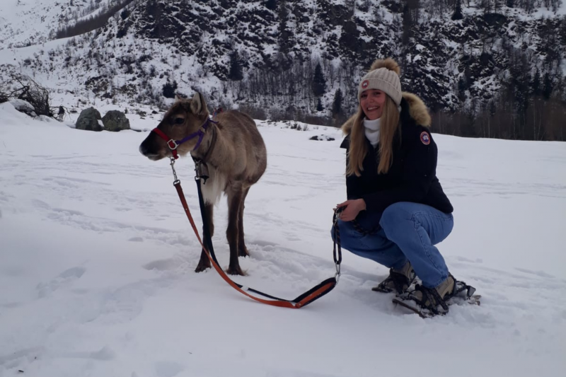 Daytime walk with the Grand Plan reindeer_Peisey-Vallandry - © Au Baudet Malin Daytime walk with the Grand Plan reindeer_Peisey-Vallandry