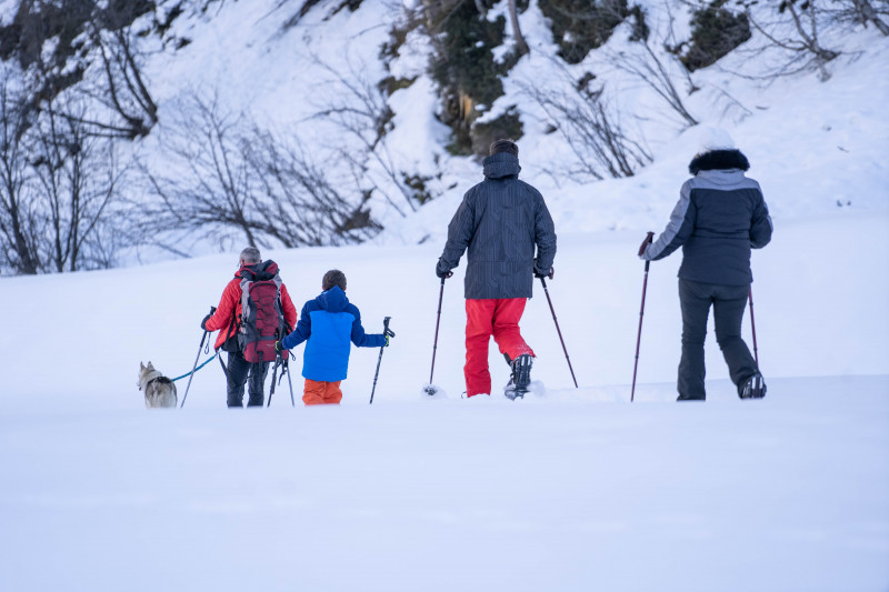 Schneeschuhwandern: Der Plan Bois Wald_Peisey-Vallandry