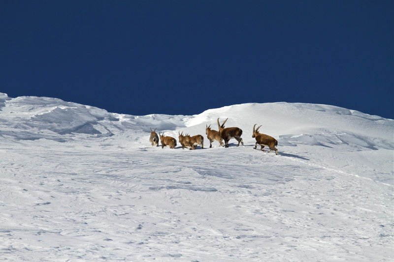 bureau des guides - © bureau des guides bureau des guides