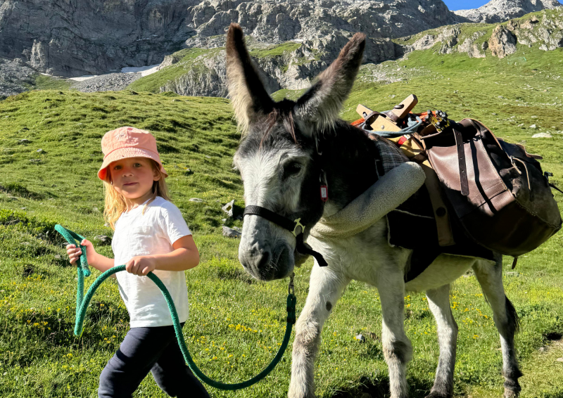Eselausflug am Rande des Vanoise-Nationalparks