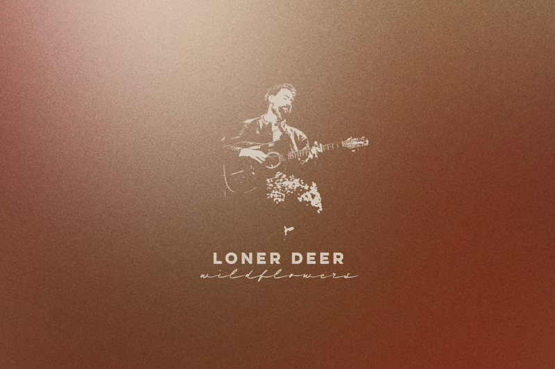 Loner Deer Loner Deer
