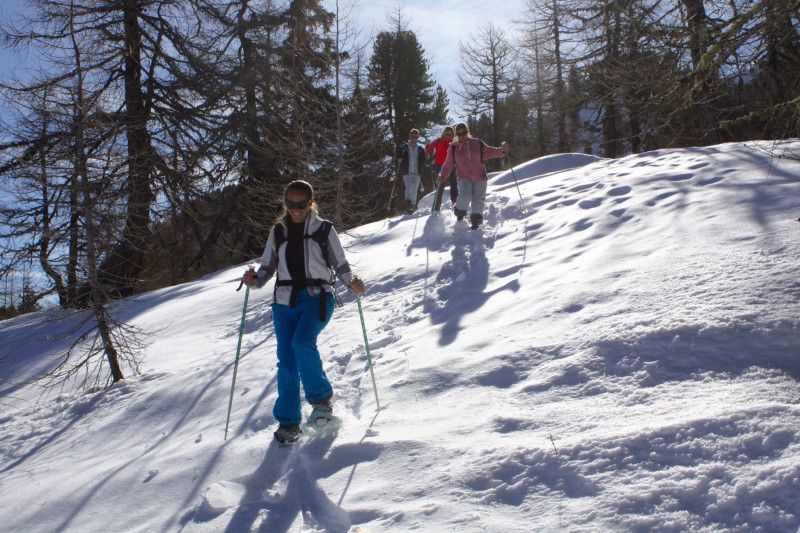 balade en forêt