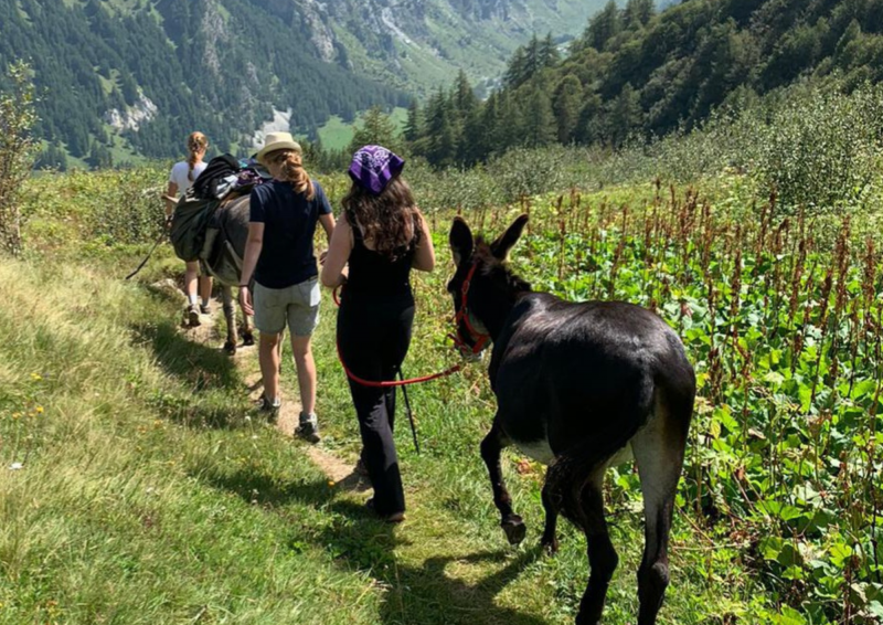 Balade en âne aux portes du Parc de la Vanoise