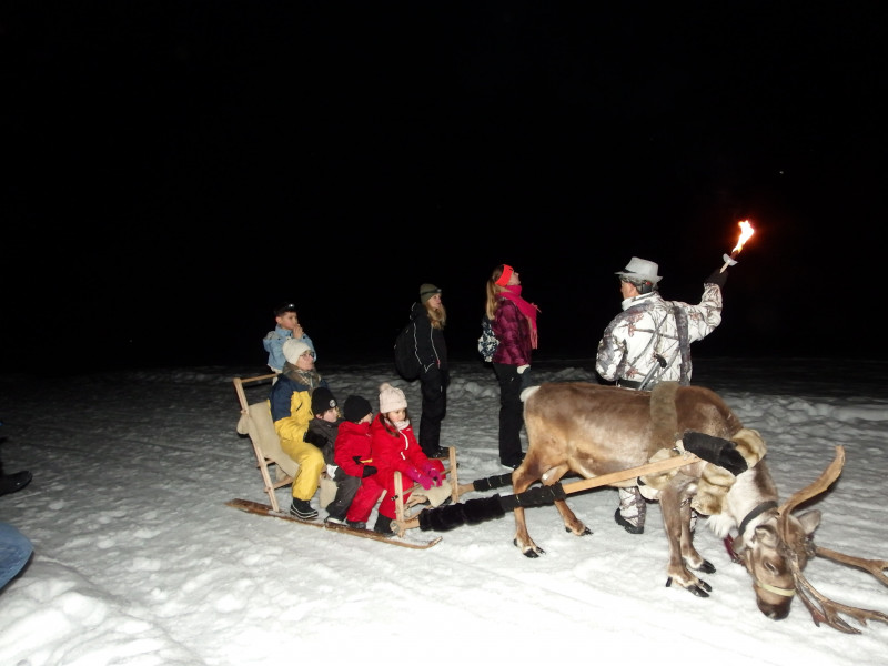 Nighttime snowshoeing excursion with reindeer and a guide in the mid-mountain region_Peisey-Vallandry - © Au Baudet Malin Nighttime snowshoeing excursion with reindeer and a guide in the mid-mountain region_Peisey-Vallandry