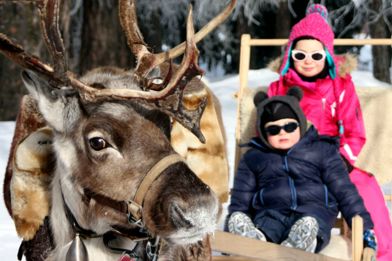 Reindeer sleigh ride - © Au Baudet Malin Reindeer sleigh ride