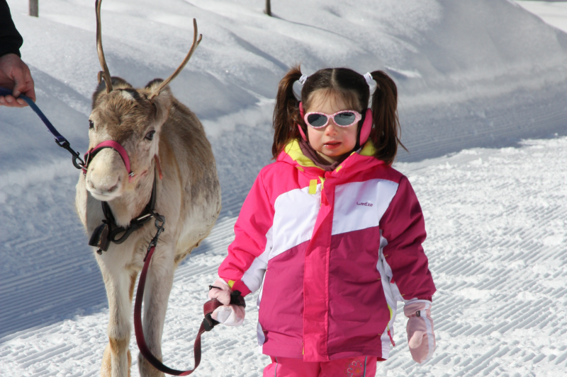 Reindeer sleigh ride - © Au Baudet Malin Reindeer sleigh ride