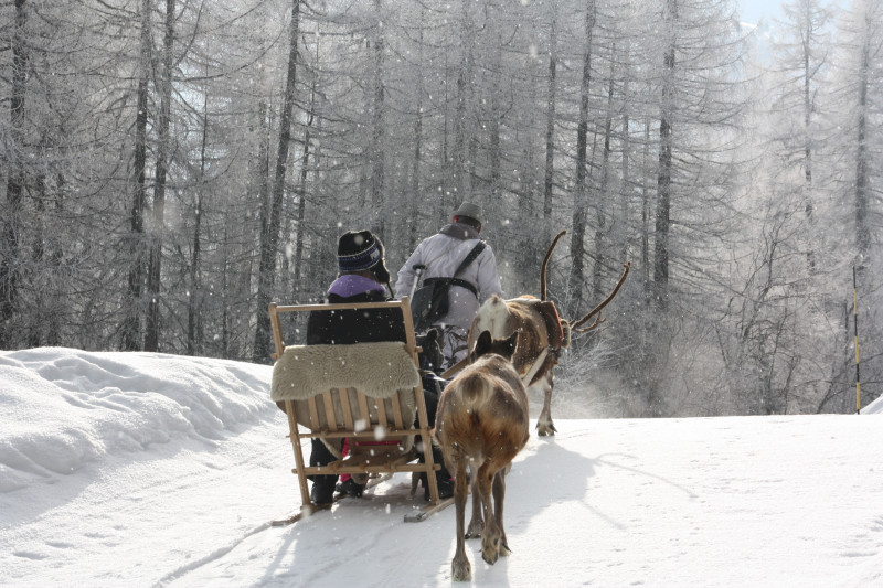 Reindeer sleigh ride_Peisey-Vallandry - © Au Baudet Malin Reindeer sleigh ride_Peisey-Vallandry