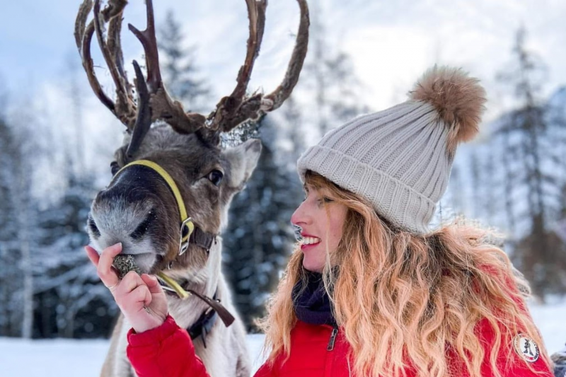 Reindeer sleigh ride - © Au Baudet Malin Reindeer sleigh ride