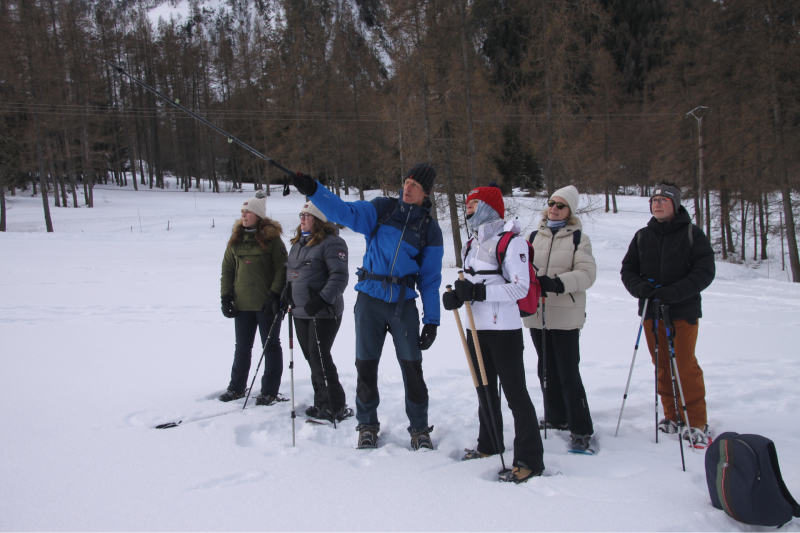 Daytime walk with the Grand Plan reindeer_Peisey-Vallandry