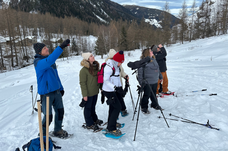 Daytime walk with the Grand Plan reindeer_Peisey-Vallandry