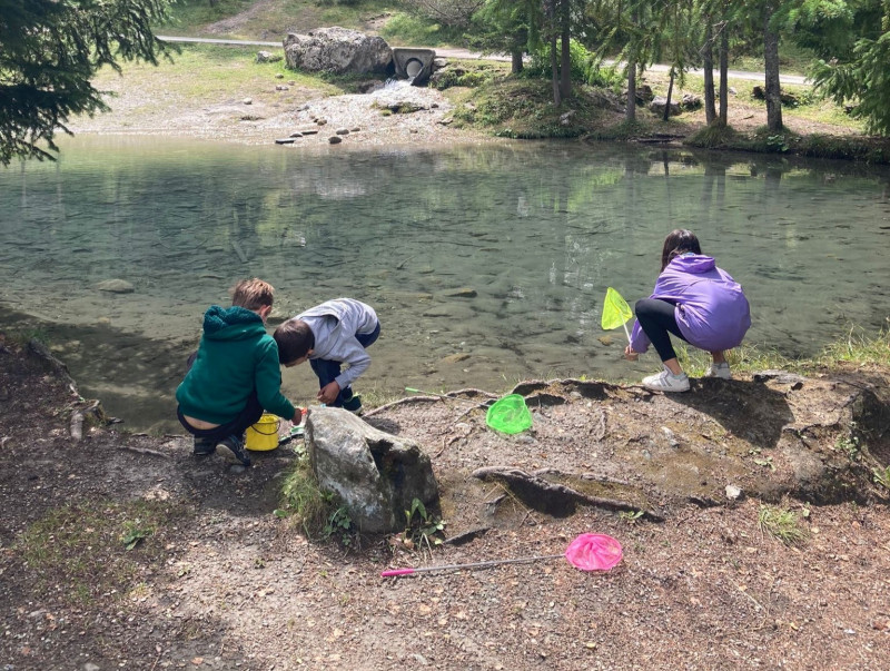 Les Petits trappeurs & explorateurs