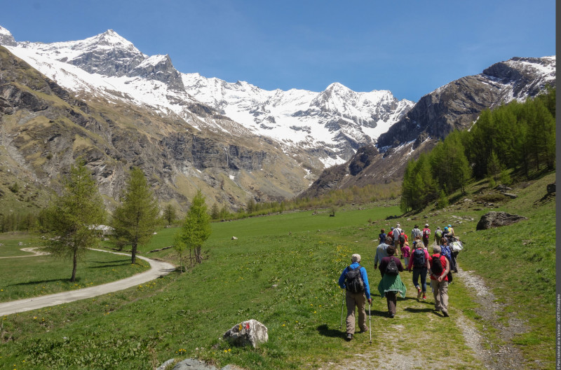 3pnv015856_pn_vanoise_gotti_christophe_2000px.jpg - © Christophe Gotti - PNV 3pnv015856_pn_vanoise_gotti_christophe_2000px.jpg