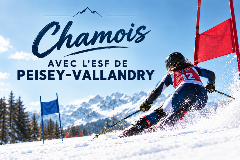 Compétition de ski alpin : Chamois_Peisey-Vallandry Compétition de ski alpin : Chamois_Peisey-Vallandry