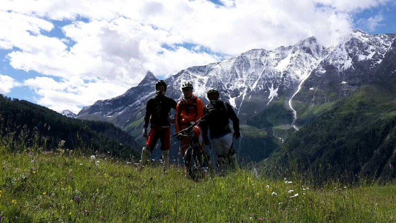 plybike.jpg