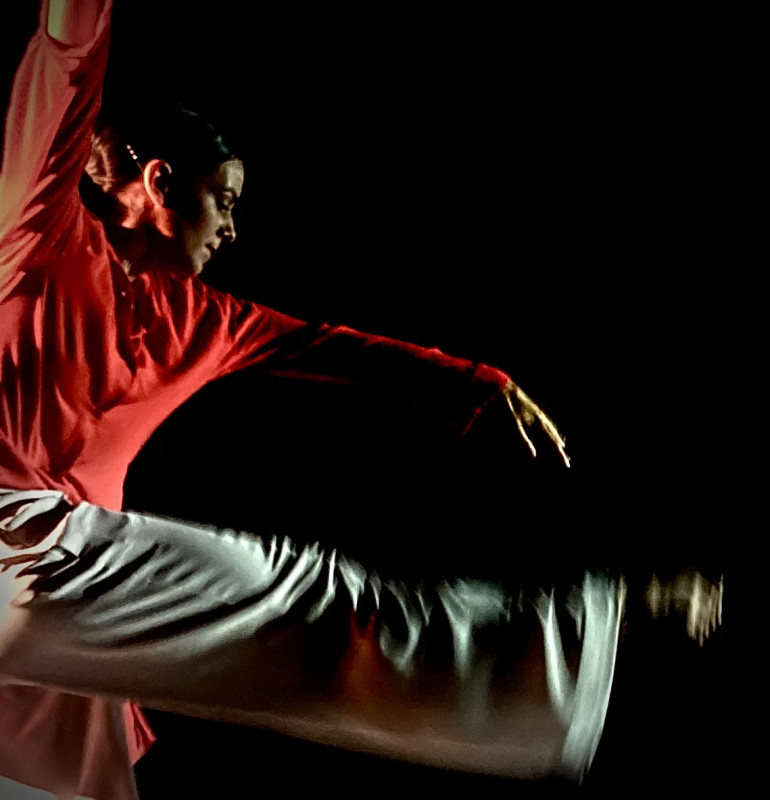 Spectacle de Danse 